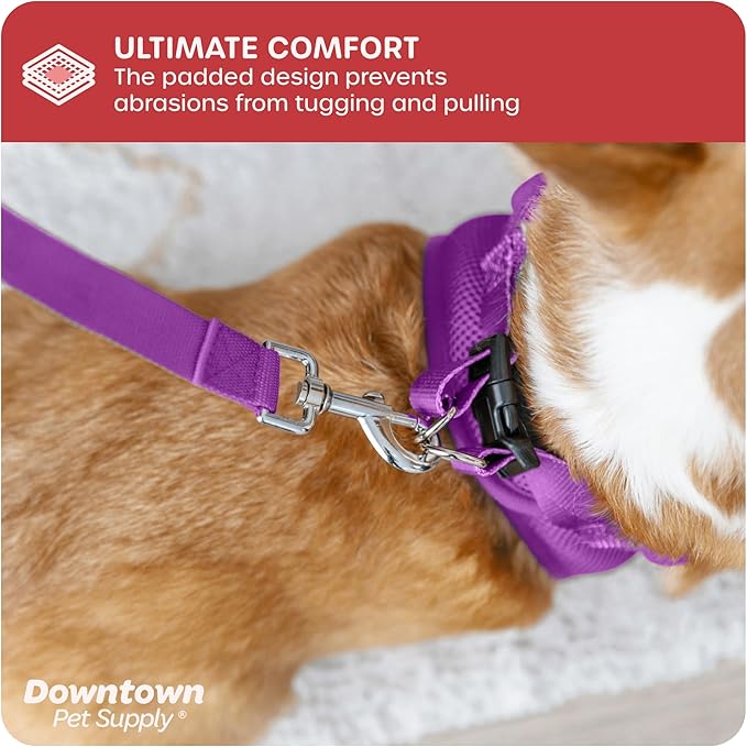 Downtown Pet Supply Step-in Dog Harness – No Pull, Adjustable Padded Mesh with Reflective Trim, Secure Buckle Strap – Comfortable & Breathable Small Dog Harness, XX-Small, Purple