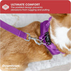 Downtown Pet Supply Step-in Dog Harness – No Pull, Adjustable Padded Mesh with Reflective Trim, Secure Buckle Strap – Comfortable & Breathable Small Dog Harness, XX-Small, Purple
