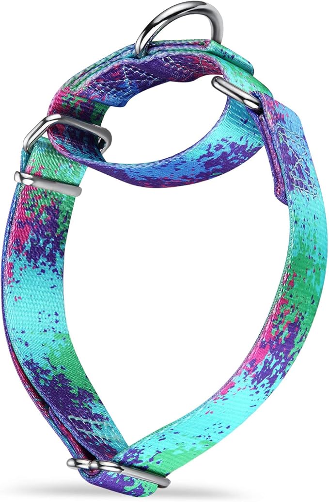 Martingale Collar for Dogs Escape-Proof No-Pull, Durable Polyester Training Collar for Dogs, No-Buckle (Ecological Oasis, Large)