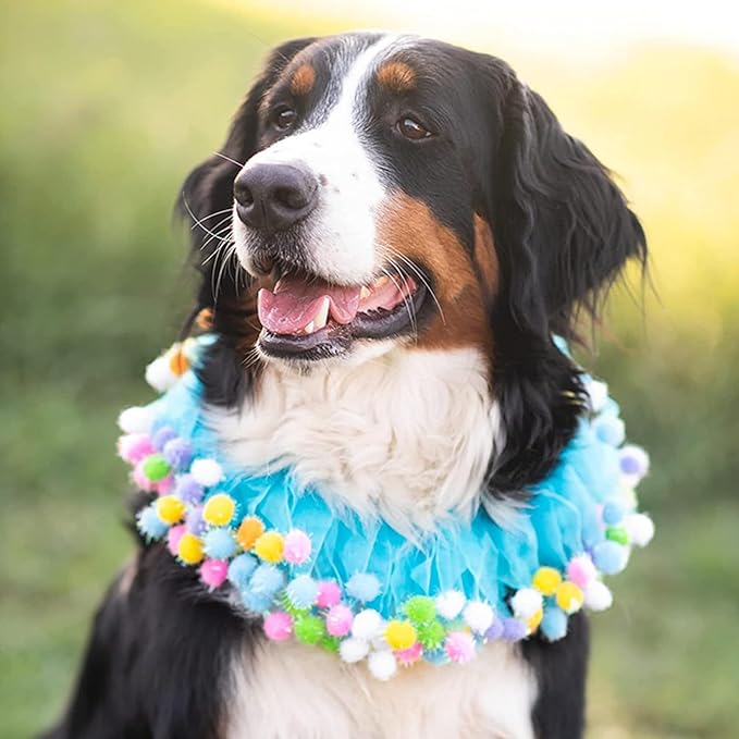 Elegant little tail Dog Birthday Costume - Blue Collars Cute Colorful Fluffy Ball Dog with Birthday Hat Boy Pet Tutu Collar Suit Pet Holiday Costume for Small Medium Dogs