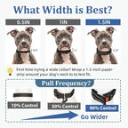 Mayerzon 1.5" Wide Martingale Collar for Large Medium Small Dogs Pitbull German Shepherd, No Pull Reflective Slip & Martingale Dog Collar with Buckle Soft Padded for Walking Training(Black,XXL)