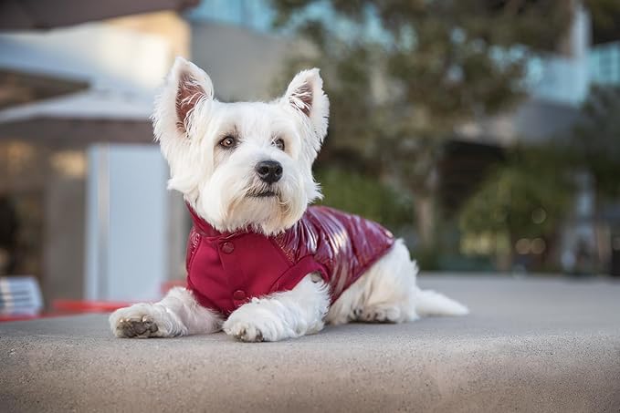 Blueberry Pet Cozy & Comfy Windproof Lightweight Quilted Fall Winter Glossy Dog Puffer Jacket in Deep Rouge, Back Length 22.5", Size 20, Warm Coat for Large Dogs