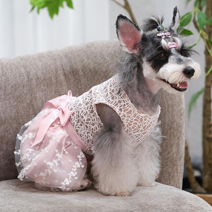CuteBone Dog Birthday Dress Girl Puppy Skirt Tutu Cat Wedding Outfit Pet Party Clothes for Small Dogs Costume DD23XS