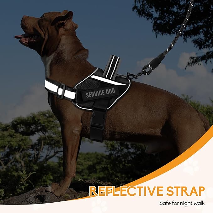 Service Dog Vest Harness and Leash Set, Animire in Training Dog Harness with 10 Dog Patches, Reflective Dog Leash with Soft Padded Handle for Small, Medium, Large, and Extra-Large Dogs
