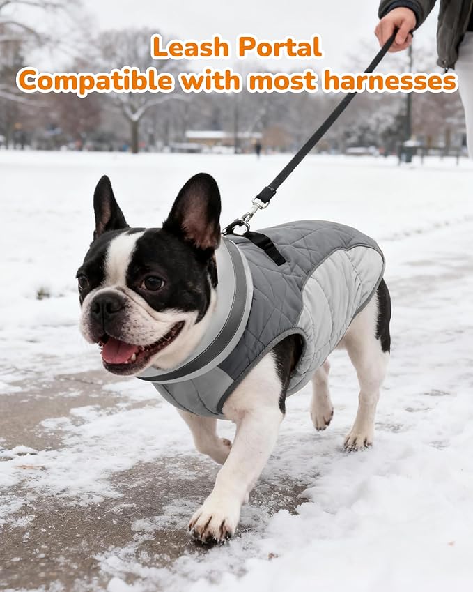 Dog Winter Coat for Small Dogs, Adjustable Puppy Warm Jackets in Cold Weather, Reflective Pet Fleece Vest with External Attachment Points, Zippered Cold-Weather Dog Winter Clothes, S Black