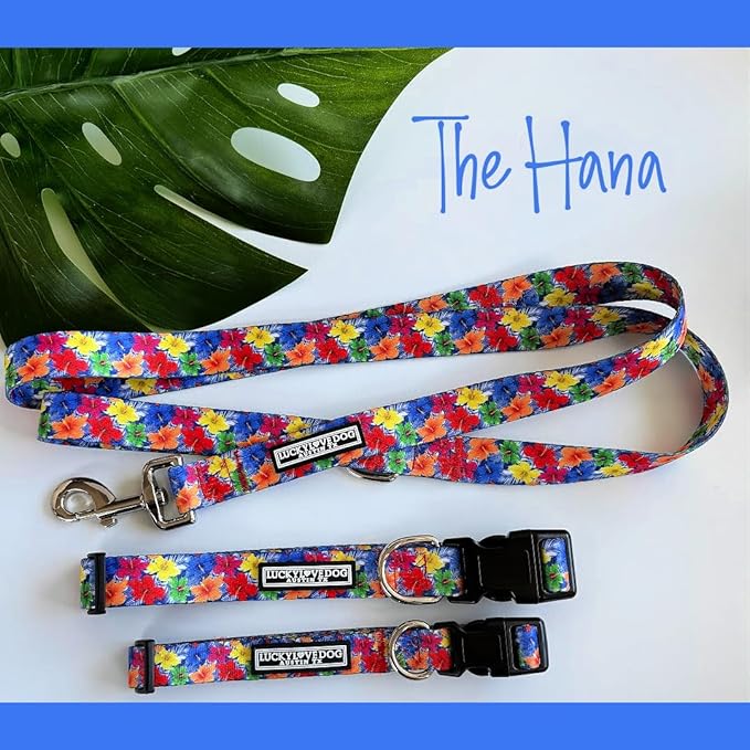Lucky Love Dog - Easy Click Buckle Dog Collar with Leash Set Combo, Durable & Comfortable for Male & Female Dogs, Pet Collar for Large Dogs, Secure Fit - Hana Combo, Large