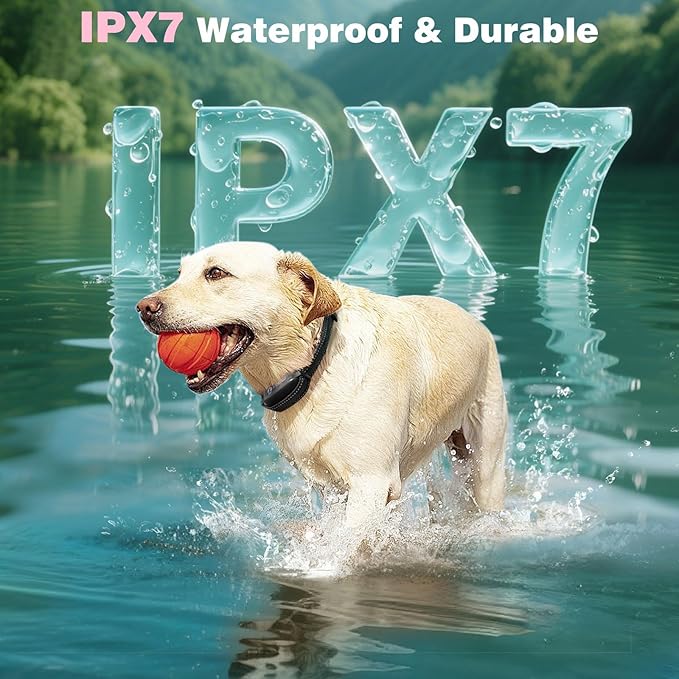 PaiPaitek Dog Shock Collar and No-Pull Training Leash Set, 1600ft Waterproof Dog Training Collar with Tension Sensor for Anti-Pull and Remote Recall