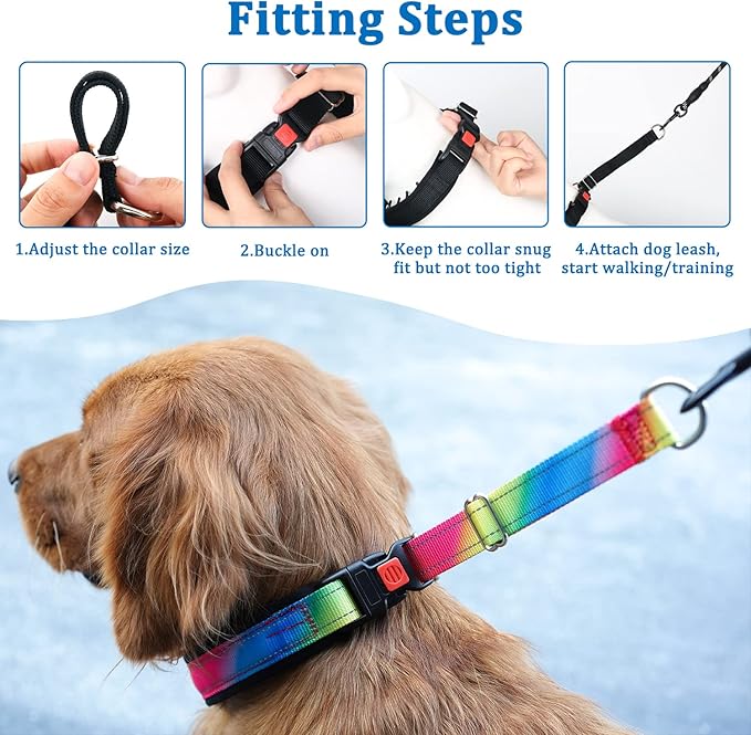 Mayerzon Martingale Prong Collar for Dogs, Patented No Pull Pinch Collar with American Flag and Buckle for Small Medium Large Dogs Training Walking Hunting, Adjustable and Heavy Duty(XL, Rainbow)
