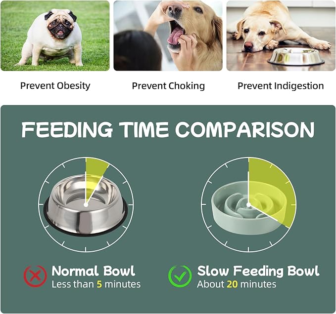 Ceramic 0.9 Cup Dog Bowl Slow Feeder for Small Dog, 6.1inch Pet Puzzle Slow Feeder, Stop Bloat, Preventing Choking(1 Bowl-Light Green)