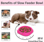 MateeyLife Small Slow Feeder Cat Bowls, Anti-Choking Puzzle Cat Food Bowls, Non Slip Interactive Dog Feeding Slow Down Eating, Bloat Stop Maze Dishes Dog Feeder for Small Breeds 1 Cup Purple