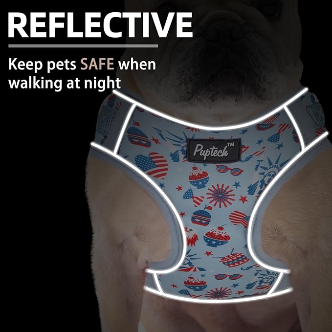 PUPTECK Small Dog Harness and Leash Set, No Pull Adjustable Puppy Cat Harness, Reflective Soft Mesh Pet Vest Small Sized, American Style, M