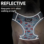 PUPTECK Small Dog Harness and Leash Set, No Pull Adjustable Puppy Cat Harness, Reflective Soft Mesh Pet Vest Small Sized, American Style, M