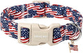 ARING PET 4th of July Collars for Dogs, Fourth of July Patriotic American USA Flag Red White Blue Dog Collar for Puppy Small Medium Large Boy Girl Doggy-S