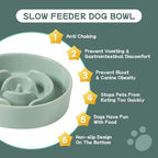 Ceramic 0.9 Cup Raised Dog Slow Feeder Set, Elevated Bowl with Wooden Stand for Small Dog and Cat, 6.1inch Puzzle Slow Dog Food Dish, Anti-Gulping(Light Green, Single Bowl+ Stand)