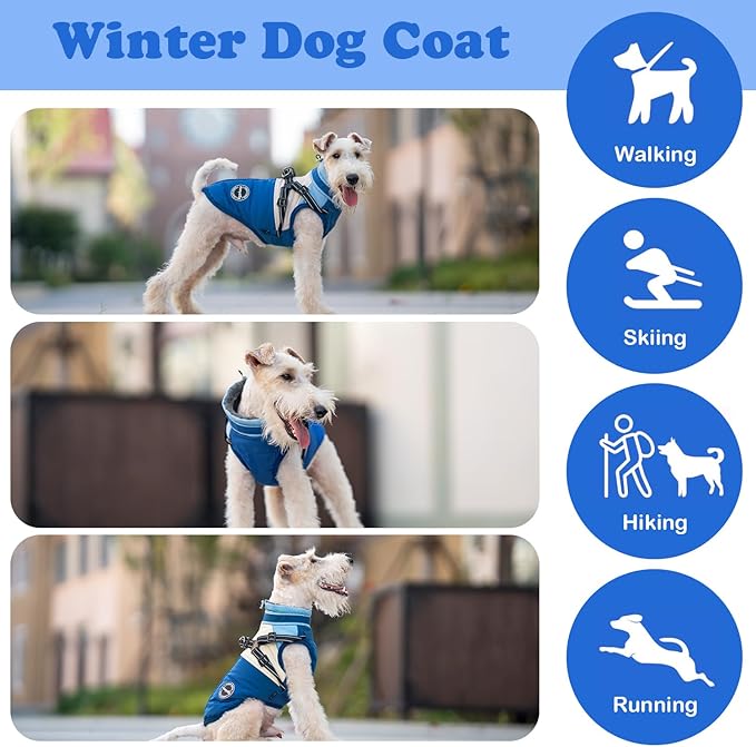 Dog Winter Coat, Waterproof Dog Jacket Warm Dog Coat, Windproof Turtleneck Dog Fleece Vest with Harness Built in, Reflective Dog Snow Jacket Snowsuit for Small Medium Large Dogs, Blue XXL