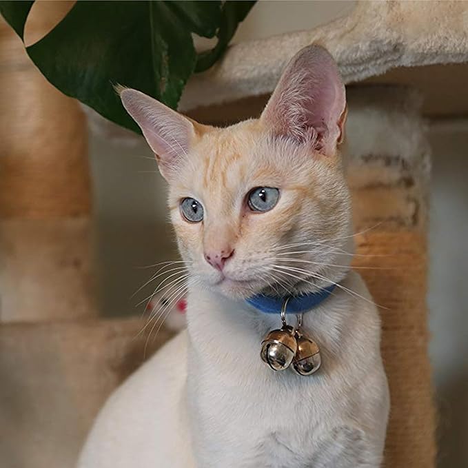 Beau's Bells 2 Extra Loud Cat & Dog Bells | Pet Tracker | Save Birds & Wildlife | Luxury Handmade Copper (Small)