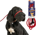 Heather's Heroes The Sidekick No-Pull Leash, Red, Mini