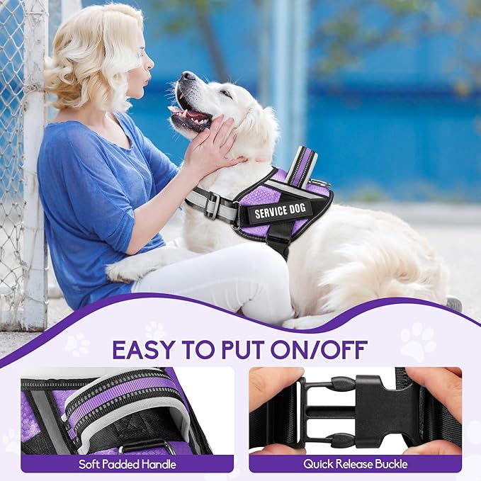 Service Dog Vest Harness and Leash Set, Animire in Training Dog Harness with 10 Dog Patches, Reflective Dog Leash with Soft Padded Handle for Small, Medium, Large, and Extra-Large Dogs