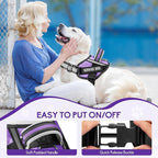 Service Dog Vest Harness and Leash Set, Animire in Training Dog Harness with 10 Dog Patches, Reflective Dog Leash with Soft Padded Handle for Small, Medium, Large, and Extra-Large Dogs (Purple, M)