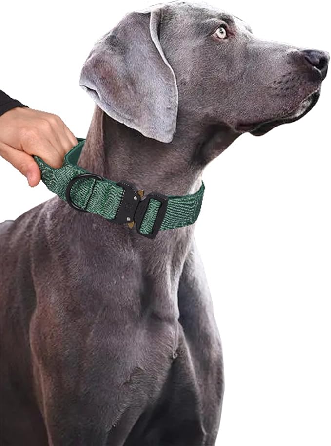 Tactical Dog Collar for Medium Large Dogs, Heavy Duty Dog Collars with Handle, Metal Buckle Dog Training Collar, Thick Large Military Dog Collar. (L, Green)