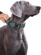 Tactical Dog Collar for Medium Large Dogs, Heavy Duty Dog Collars with Handle, Metal Buckle Dog Training Collar, Thick Large Military Dog Collar for Male. (XL, Green)
