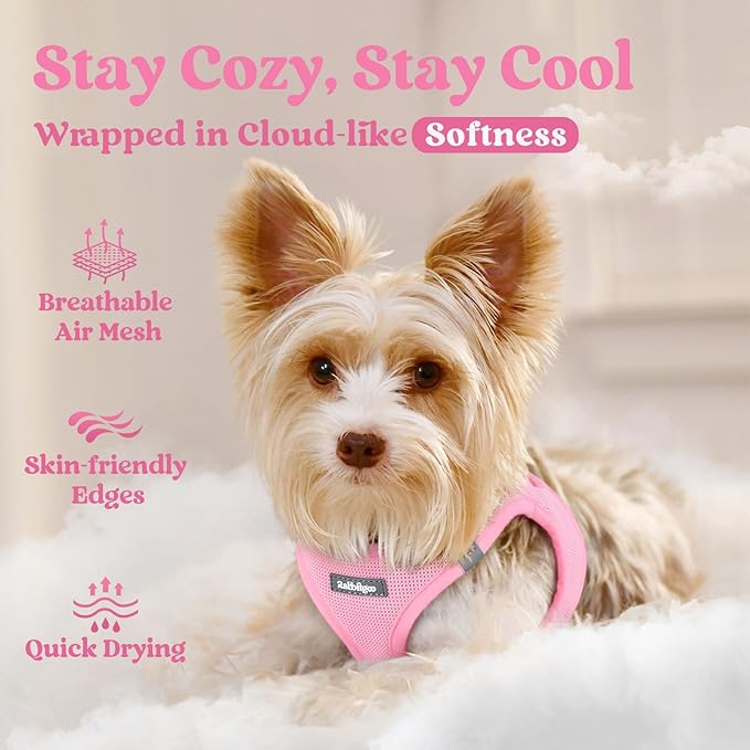 rabbitgoo Small Dog Harness, Step-in Soft Mesh Puppy Vest with Safety Buckle, Breathable Reflective Pet Harness for Extra Small Dogs, Light Pink XXS