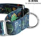 Downtown Pet Supply - Martingale Collar for Dogs - Dog Training Collar - Big, Wide & Thick Dog Collar - Escape-Proof, Weatherproof, Durable and Comfortable - Dino - Small Dog Collar