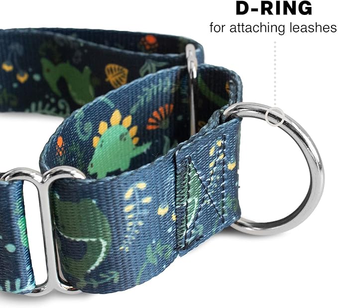 Downtown Pet Supply - Martingale Collar for Dogs - Dog Training Collar - Big, Wide & Thick Dog Collar - Escape-Proof, Weatherproof, Durable and Comfortable - Dino - Extra Large Dog Collar