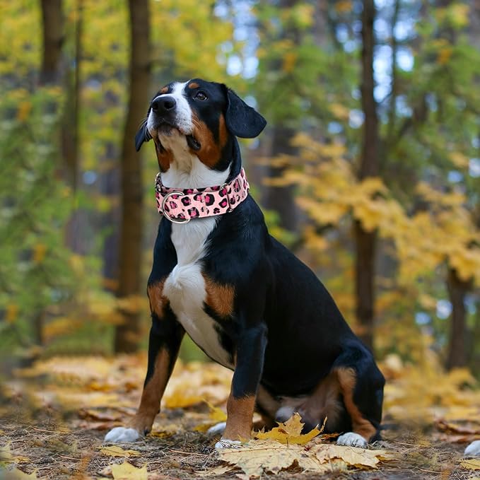 Martingale Collar for Dogs, Heavy Duty Adjustable Soft Nylon Dog Collars with Pink Leopard for Medium & Large XL Dogs (Pink Leopard,XL)