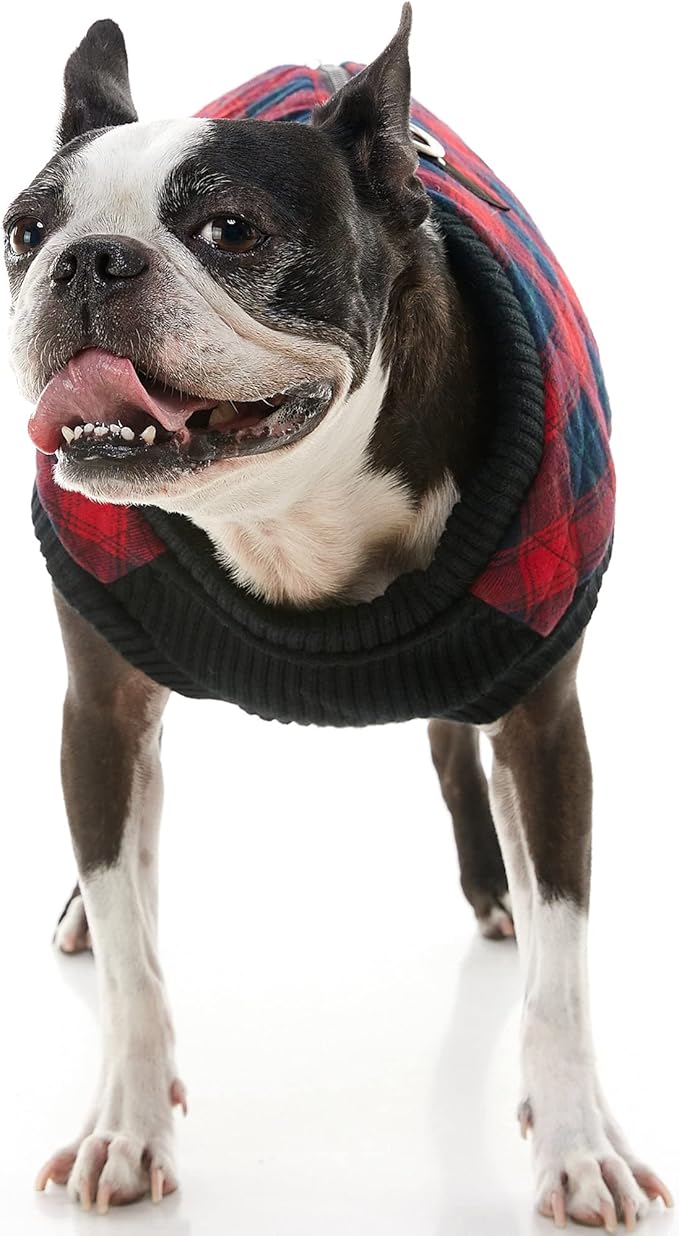 Gooby Fashion Vest Check Dog Jacket - Red Check, X-Small - Warm Zip Up Dog Bomber Vest with Dual D Ring Leash Water Resistant for Small to Medium Dogs