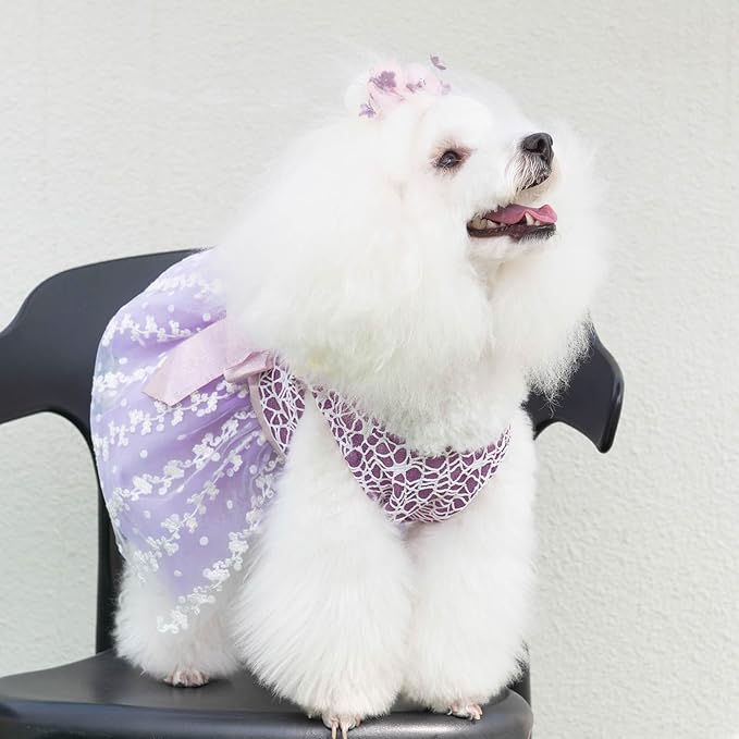 CuteBone Dog Birthday Dress Girl Puppy Skirt Tutu Cat Wedding Outfit Pet Party Clothes for Small Dogs Costume DD14XS