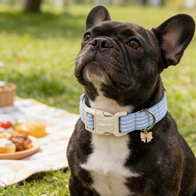 ARING PET Stripe Dog Collar, Cute Spring Summer Blue Stripe Pet Collars with Bow Charm for Puppy Small Medium Large Boy Girl Dogs-L, for Daily Outdoor Walking Training