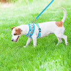 PUPTECK Soft Mesh Dog Harness and Leash Set Pet Puppy Cat Comfort Padded Vest No Pull Harnesses, Blue Floral, S