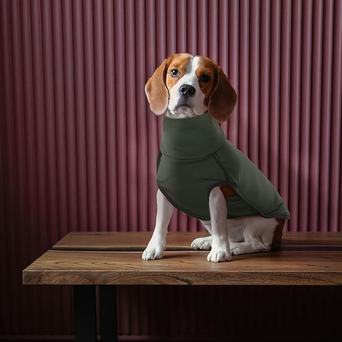 ROZKITCH Dog Winter Coat Soft Pullover Pajamas, Pet Windproof Warm Cold Weather Jacket Vest Cozy Jumpsuit Apparel Outfit Clothes for Walking Hiking Travel Sleep Green 2XL