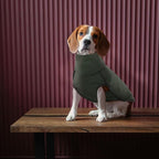 ROZKITCH Dog Winter Coat Soft Pullover Pajamas, Pet Windproof Warm Cold Weather Jacket Vest Cozy Jumpsuit Apparel Outfit Clothes for Walking Hiking Travel Sleep Green XL
