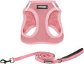 Best Pet Supplies Voyager Step-in Air All Weather Mesh Harness and Reflective Dog 5 ft Leash Combo with Neoprene Handle, for Small, Medium and Large Breed Puppies - Set (Pink), S