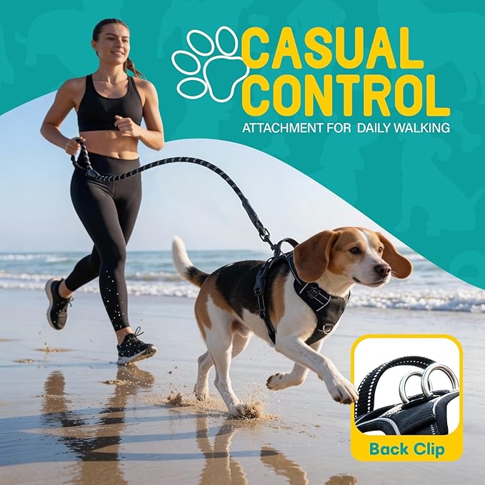 No Pull Dog Harness and Leash Set for Medium Dogs – Adjustable Reflective Breathable Soft Padded Easy Control Dog Harness for Training & Walking, Black (Medium)