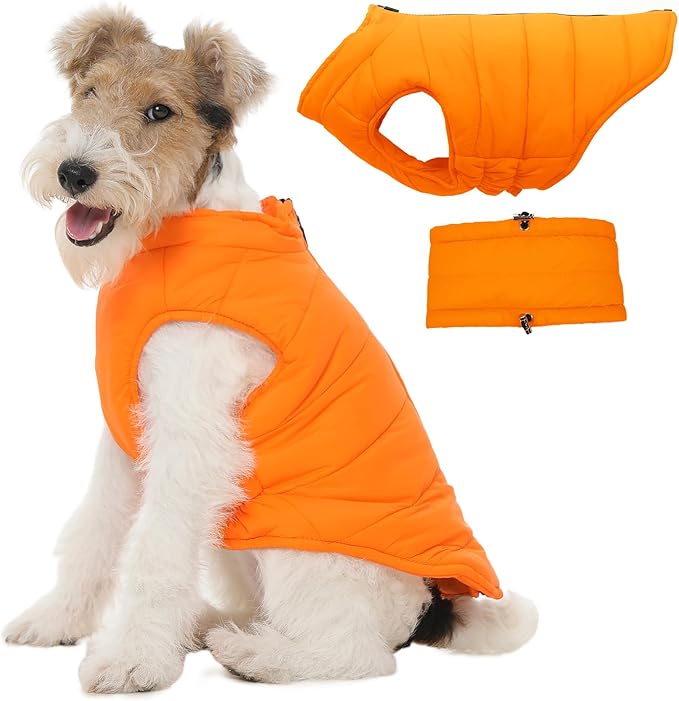 Dog Puffer Jacket with Detachable Neck Wrap for Small Dogs, Waterproof Orange Dog Vest with Back Zipper, Winter Coat Fleece Elastic Band on Chest for Dogs, Bichon Frise, Chihuahua, Orange XS