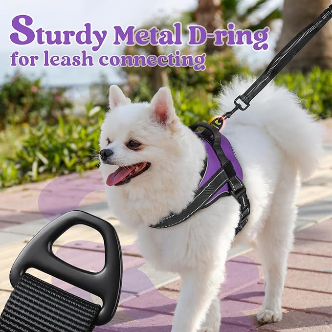 rabbitgoo Dog Harness Small Sized, No Pull No Choke Pet Vest, Easy Wearing with One Buckle, Reflective, Adjustable Pet Harness with Molle for Walking, Training, Purple, S