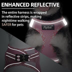 PUPTECK Dog Harness and Leash Set for Small Medium Dogs No Pull Step-in Soft Mesh Puppy Cat Vest Harnesses Reflective at Night, Upgraded New Pink XS