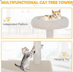 Cat Tree 36 Inch Cat Tower for Indoor Cats with Scratching Post,Padded Perch,Hanging Toys for Kittens & Adult Cats,Beige (Beige)