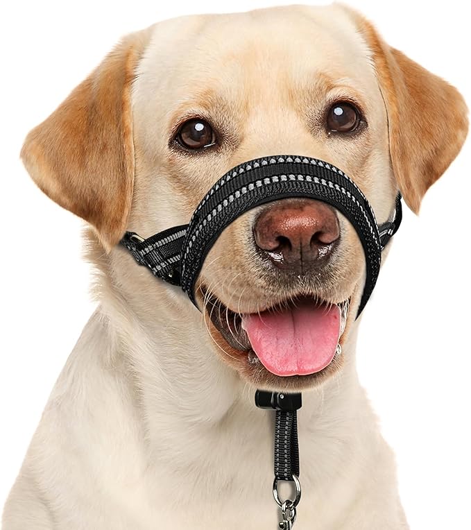 BARKLESS Soft Dog Head Collar, Patented Padded No Pull Head Halter, Training Nose Leash with Safety Link for Medium Large Dogs, Adjustable Muzzle Leash, Easy Control for Walking(Black, M)