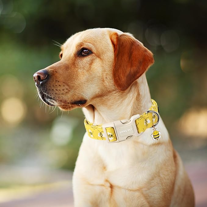 ARING PET Bees Dog Collar, Cute Spring Summer Yellow Bee Pet Collars for Puppy Small Medium Large Boy Girl Dogs-S