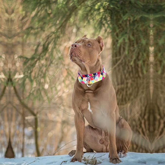 Wide Martingale Dog Collar - Heavy-Duty Escape-Proof Training Collar for Medium, Large & XL Dogs | Big & Thick No Pull Adjustable Design (Colored Triangle M)