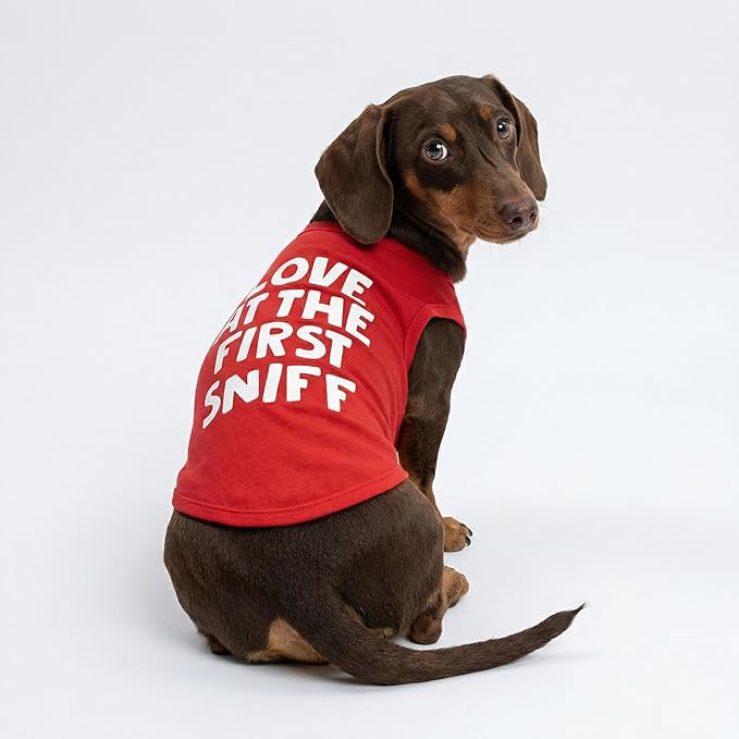 Fitwarm Love at The First Sniff Dog Shirt, Dog Valentines Outfit, Summer Dog Clothes for Small Dogs Boy Girl, Funny Dog Tshirt, Lightweight Breathable Cotton, Pet Cat Outfit, Red, Large