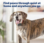 PetSafe Basic Bark Control Collar - Effective & Accurate Bark Detection Collar - Safe & Reliable Training with Multiple Static Stimulation Levels - Waterproof & Battery-Operated