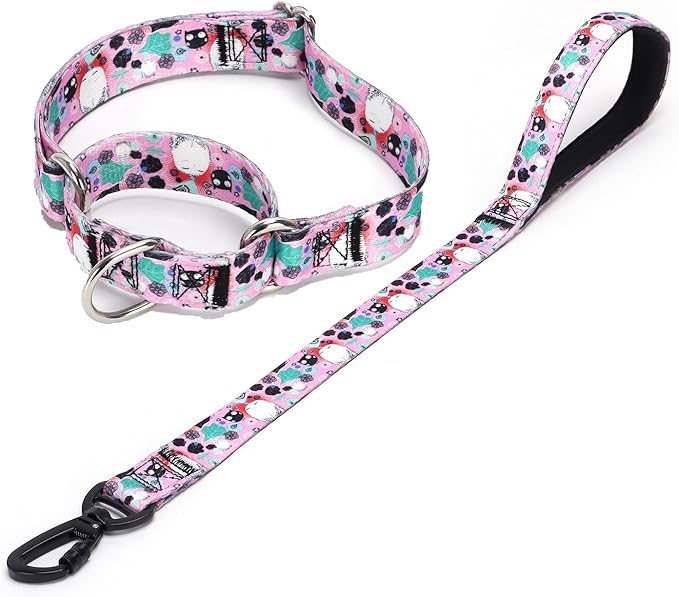 Martingale Collar and Leash Set, Premium No Slip Martingale Collar for Dogs Medium Large, Girl Dog Collars Training (NO9, M)