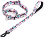Martingale Collar and Leash Set, Premium No Slip Martingale Collar for Dogs Medium Large, Girl Dog Collars Training (NO9, L)