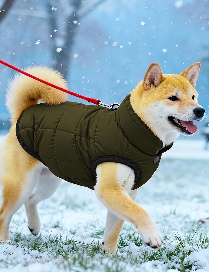 AURUZA Dog Winter Coat, Warm Waterproof Dogs Jacket Small Pet Vest for Medium Dogs Windproof Pet Fleece Vest Snow Jacket for Cold Weather(Army Green,L)
