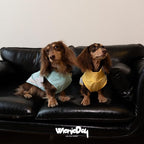 Dachshund Dog Cooling Vest, Breathable Summer Dog Cooling & Quick-Dry Shirt for Outdoor Activities,Mini Dachshund Lightweight Clothes, Vest Small Dogs (Blue, L(16-22 lbs))